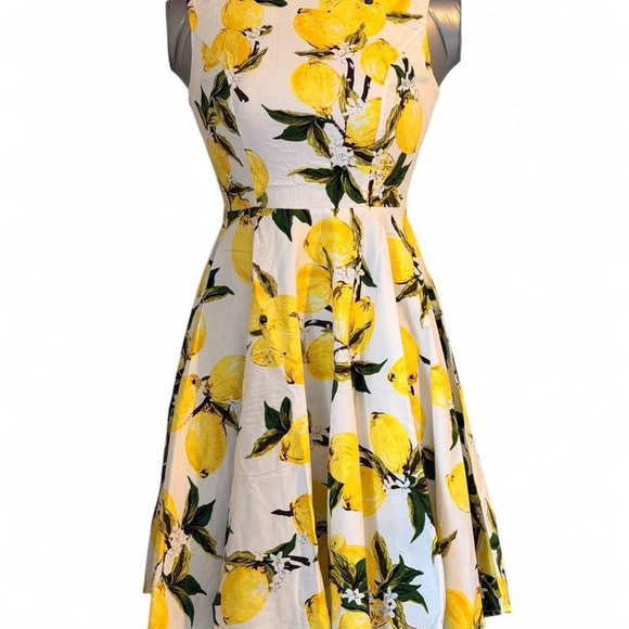 Grace Karin Dresses & Skirts - Grace Karin White Lemon Print Fit & Flare Midi Dress